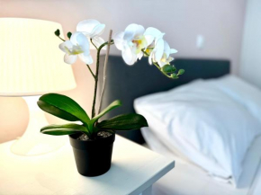Sun Beach Apartment